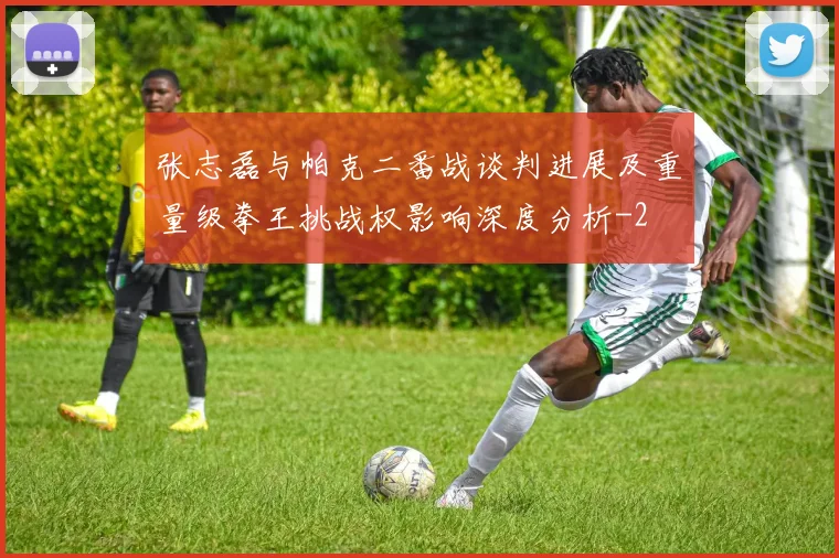 张志磊与帕克二番战谈判进展及重量级拳王挑战权影响深度分析