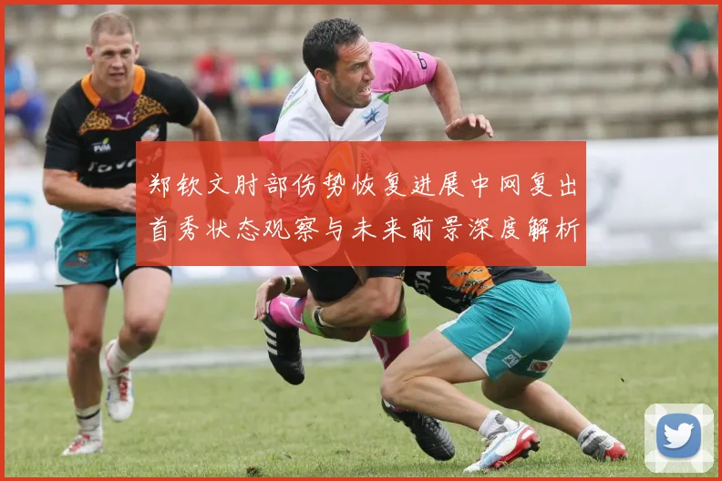 郑钦文肘部伤势恢复进展中网复出首秀状态观察与未来前景深度解析